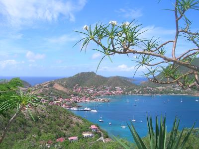 investissement immobilier guadeloupe