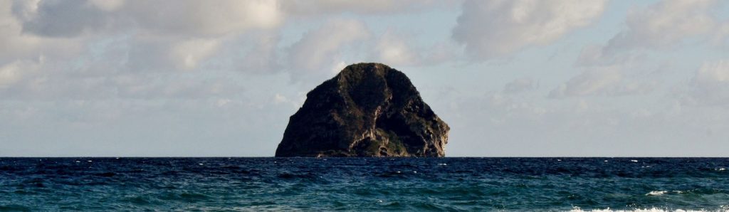 investissement immobilier martinique
